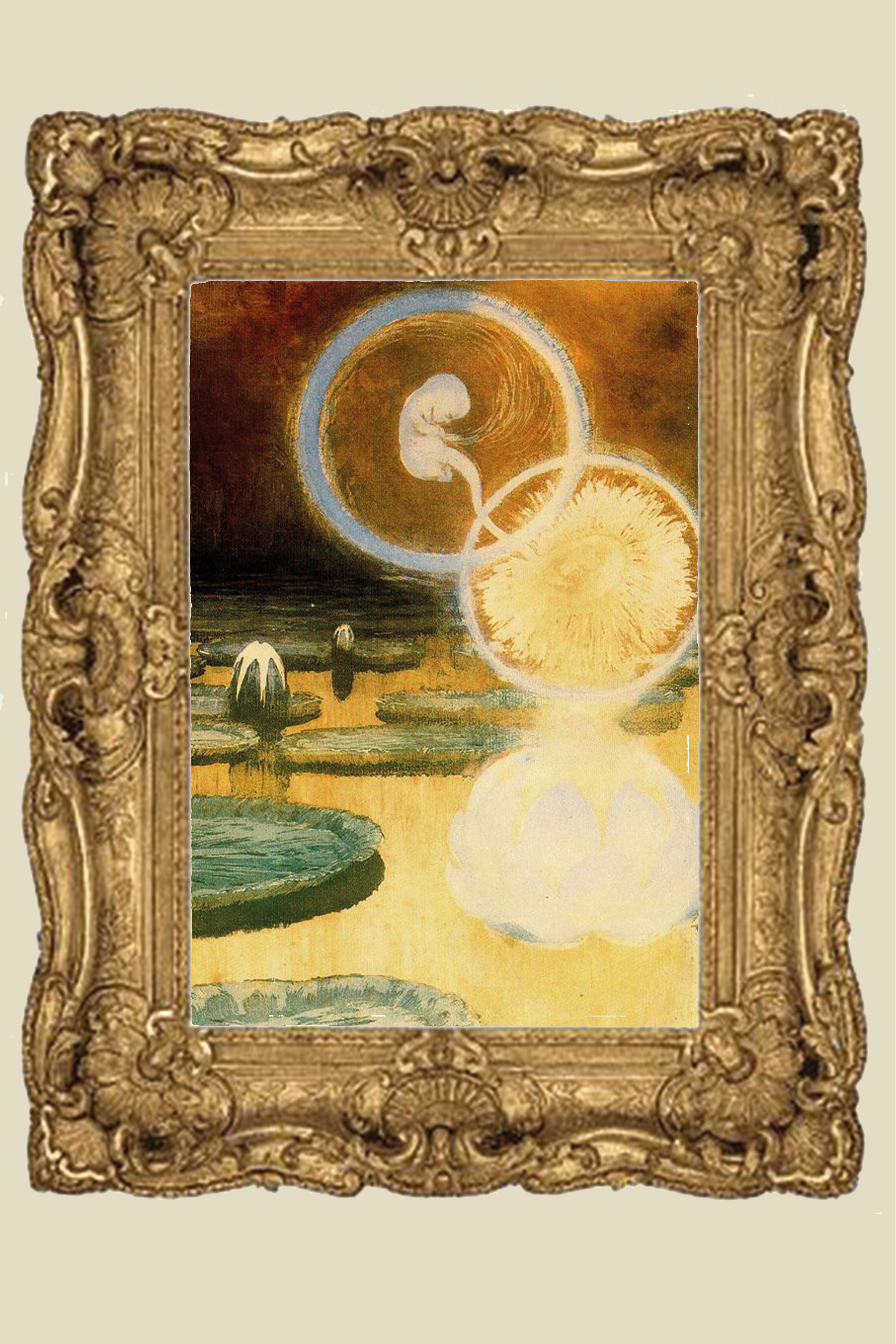 image4